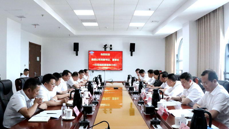 2022年6月，集團(tuán)公司黨委書記、董事長(zhǎng)戴和根一行到公司調(diào)研指導(dǎo)工作